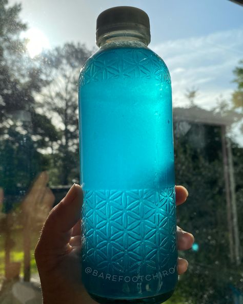 Electrolyte Lemonade, Blue Majik, Blue Algae, Blue Green Algae, Summer Recipe, Green Algae, Lemon Lavender, Water Recipes, Lower Blood Pressure