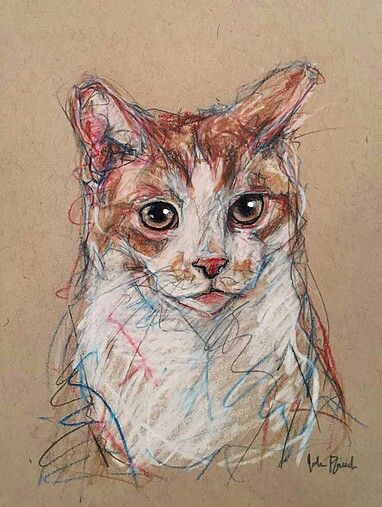 ♡ Chalk Pastel, Arte Van Gogh, Oil Pastel Art, Crayon Art, Arte Sketchbook, Arte Inspo, Portrait Sketches, Pastel Art, Cat Painting