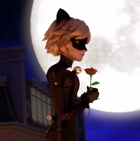 Miraculous Wallpaper, Ladybug Movie, Miraculous Characters, Miraculous Ladybug Movie, Adrien Agreste, Miraculous Ladybug Comic, Ladybug Cat Noir, Fictional Crushes, Ladybug And Cat Noir