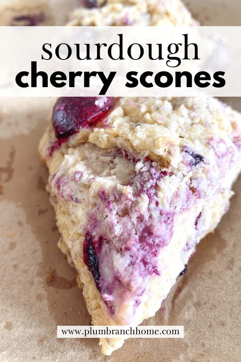 Cherry Scone, Lemon Poppy Seed Scones, Peach Scones, Berry Scones, Cherry Scones, Cherry Bread, Sourdough Starter Discard Recipe, Scones Ingredients, Sipping Coffee