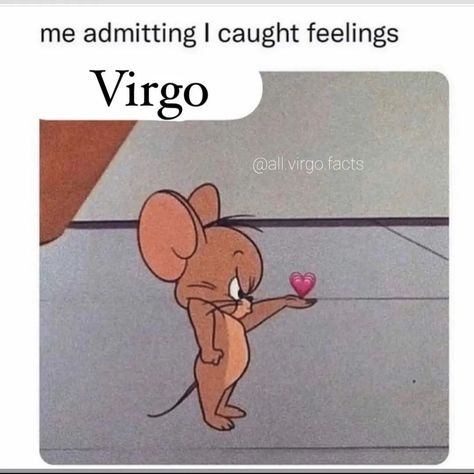 Virgo Memes Truths, Virgo Memes Funny Truths, Virgo Stereotypes, Virgo X Aries, Funny Virgo Quotes Hilarious, Virgo Girlfriend, Virgo + Core + Aesthetic, Virgo And Gemini, Virgo Funny