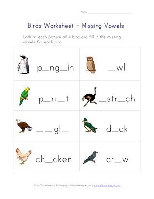 missing letters birds worksheet Missing Letters Worksheet, Birds Name, How To Spell Words, Spell Words, Birds Theme, Birds For Kids, Missing Letters, English Grammar For Kids, English Worksheets For Kindergarten