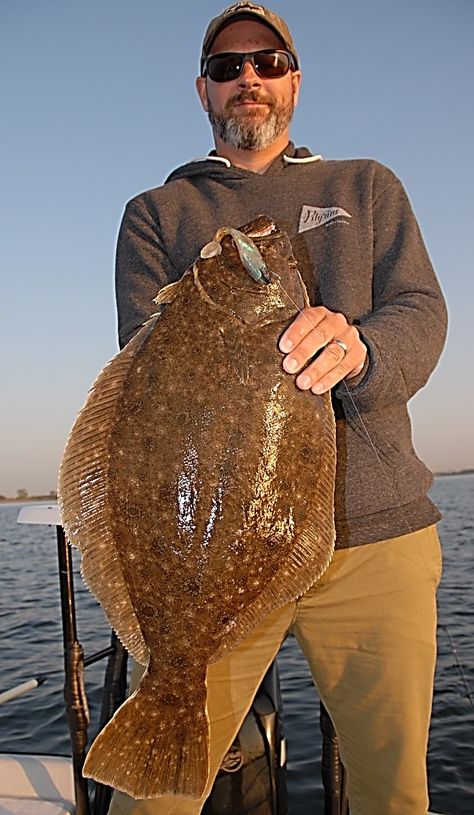 The Hard Truth on Summer Flounder - Marine Fish Conservation Network Flounder Fishing, First Day Of Winter, Plenty Of Fish, Fishing Pictures, Marine Fish, Hard Truth, Number Cards, Sea Water, Saltwater Fishing