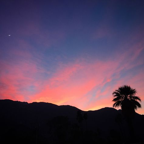 Star! Palm Springs Sunset Aesthetic, Palm Springs, Springs, The Neighbourhood, The Outsiders, Mid Century, Collage, Pins