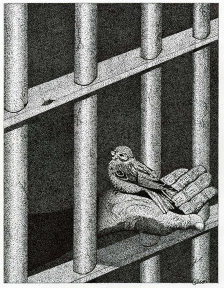 We think a caged bird sings..when indeed it crys Prison Drawings, Pablo Picasso Art, Prison Art, Picasso Art, Escape Reality, Art Theme, Chicano Art, Gcse Art, Lowrider