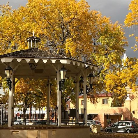 Old Town Plaza in Autumn Gold, Albuquerque Albuquerque Old Town, Golden Glow, In November, New Mexico, Old Town, House Styles, Gold, Nature, Mexico