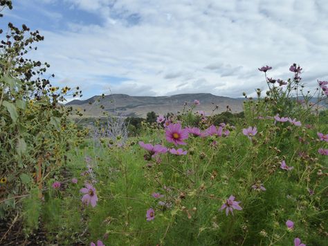 Visitor's Guide to Paonia, Colorado: Where to Eat, Drink, and Play Paonia Colorado, Moving To Denver, Mountain Rock, Great American Road Trip, Strawberry Moon, Explore Colorado, Colorado Adventures, Table Food, American Road