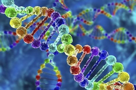 Exome sequencing improves doctors’ ability to diagnose hard-to-pin-down neurogenetic disorders Mthfr Gene, Precision Medicine, Ancestry Dna, Genetic Disorders, Genetic Testing, Dna Test, Chinese Medicine, Data Storage, Big Data