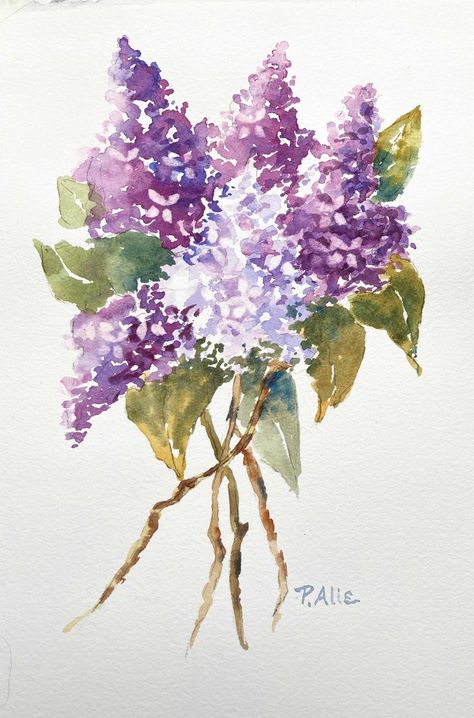 Small works, demos and sketches - small paintings and class demonstrations for watercolor lessons — paul alie watercolor studio Lilac Bush Drawing, Lilac Art Painting, Watercolor Lilacs Tutorial, Lilac Watercolor Paintings, Pastel Watercolor Art, Lilac Sketch, Lilac Flower Painting, Rbg Art, Lilacs Painting