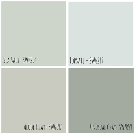 Sherwin Williams  Aloof Gray (green undertone), Sea Salt, Topsail Grey Sherwin Williams, Aloof Gray, Interior Paint Colors For Living Room, Sea Salt Sherwin Williams, Sherwin Williams Paint, Interior Paint Colors Schemes, Sherwin Williams Gray, Paint Blue, Bathroom Paint