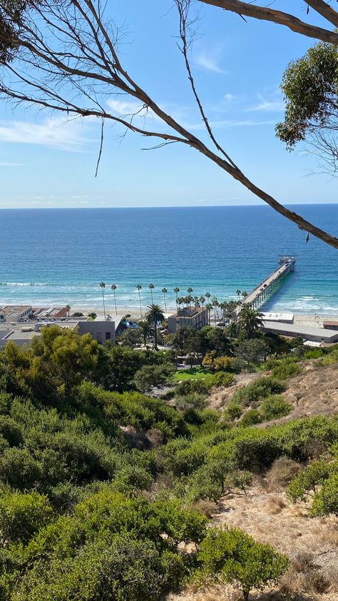 San Diego, CA, view from Birch Aquarium at Scripps Institution of Oceanography Scripps Institution Of Oceanography, Birch Aquarium San Diego, Birch Aquarium, Disneyland Ca, Cali Vibes, California Beaches, Pretty Views, Cali Life, Valley Girl