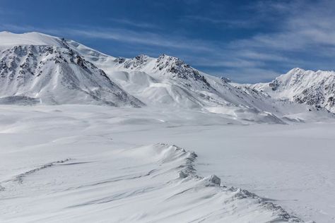 Know the Climate and Wildlife of the Tundra Land Biome Tundra Biome, Arctic Hare, Arctic Landscape, Arctic Tundra, Monte Fuji, Summer Temperature, Bird Migration, Awesome Nature, Biome