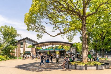 Entrance Plaza, Zoo Entrance, Zoo Boo, Zoo Project, Zoo Architecture, Zoo Park, Planet Coaster, Entrance Design, Blue Sky