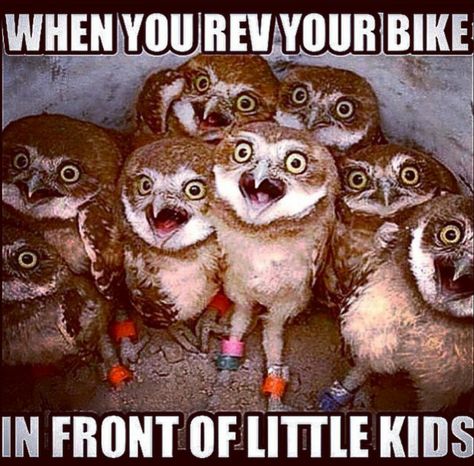 Hahaha soo true!!  My kids think it's totally rad that momma rides - her own damn bike!! 👅 Motocross Funny, Bike Meme, Dirt Bike Quotes, Bike Humor, Motorcycle Memes, Motorcycle Humor, Funny Motorcycle, Bike Quotes, Biker Quotes