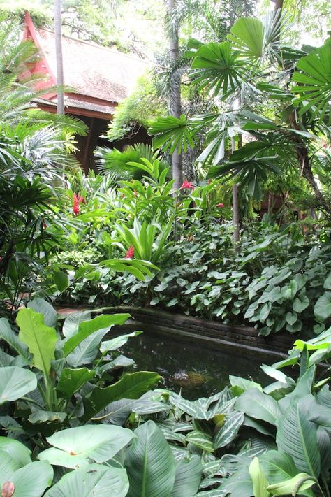 A pond in the rear garden is surrounded by lush foliage Thai Garden, Tropical Garden Plants, Small Tropical Gardens, Bali Garden, Tropical Garden Design, Tropical Backyard, Jim Thompson, Japanese Garden Design, Plant Aesthetic