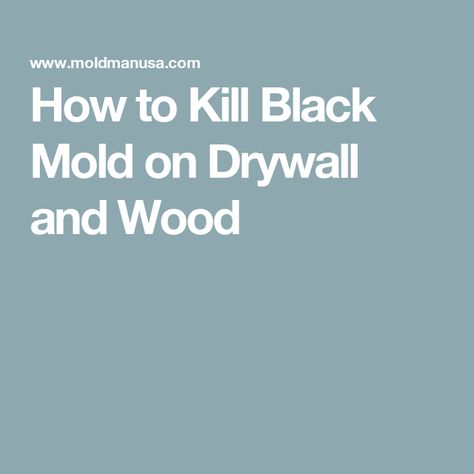 How to Kill Black Mold on Drywall and Wood Diy Mould Removal, Kill Black Mold, Clean Black Mold, Kill Mold, Remove Black Mold, Mold Spray, Mold Exposure, Black Mold, Scrub Sponge