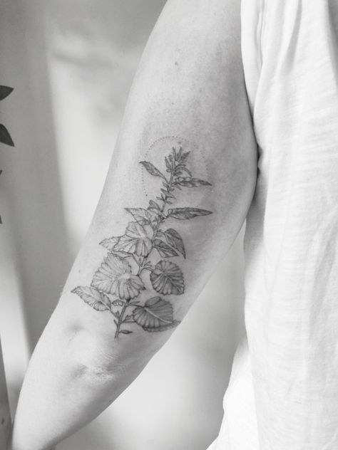 Tattoo leaves, leaf, nettle, flowet Nettle Tattoo, Tattoo Leaves, Fine Line, Flower Tattoo, Tattoos, Floral