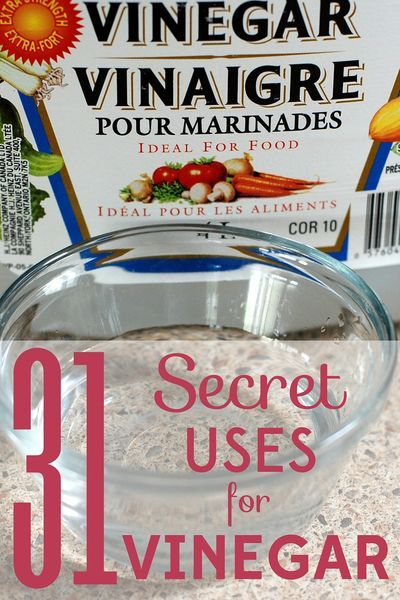 You won't believe all the uses there are for vinegar: cleaning, gardening, hair care, and more! Vinegar improves your home and saves you money. Uses For Vinegar, Car Garden, Vinegar Uses, Vinegar Cleaning, Diy Garden Furniture, Household Cleaning Tips, Frugal Tips, Green Cleaning, Natural Cleaning Products