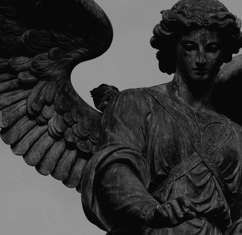 Dark Academia Pfp, Academia Pfp, Angel Sculpture, Dark Angel, An Angel, Dark Academia, Solar, Angel, Statue