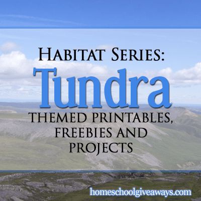 Learning About the Continents FREE Printables and Resources on Antarctica - Homeschool Giveaways Animal Taxonomy, Animals And Habitats, Tundra Biome, Biome Project, The 7 Continents, Habitat Activities, Biomes Project, Ecosystems Projects, Red Skies