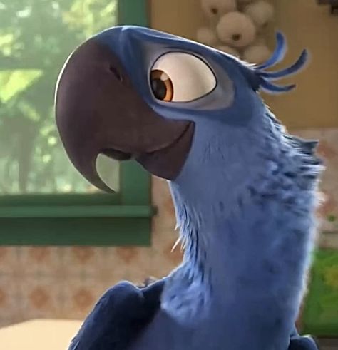 Free to use <3 Roberto Rio, Bird From Rio, Blue From Rio, Rio 2 Characters, Free Birds Movie, Nigel Rio, Rio Characters, Rio Fanart, Jewel Rio