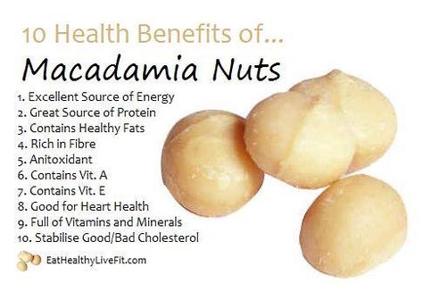 Macadamia Nuts Macadamia Nut Benefits, Nuts Health Benefits, Nut Benefits, Seeds Benefits, Tomato Nutrition, Healthy Nuts, Food Health Benefits, Nutrition Food, Matcha Benefits