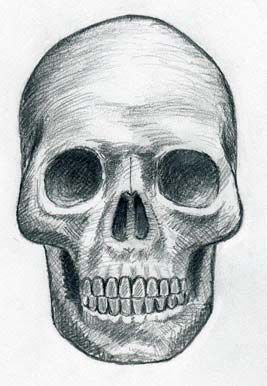 Inspiration for sketch #2 from an article: How To Draw Skulls on: www.easy-drawings-and-sketches.com by Ivan Huska. No date available. Simple Skull Drawing, Drawing Assignments, Skull Inspiration, Tattoo Crane, Evil Skull, Simple Skull, Skulls Drawing, Drawing Faces, Desenho Tattoo