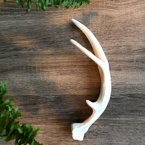 Ceramic porcelain sculpture of a small deer antler Clay Antlers, Pottery Handles, Small Deer, Porcelain Sculpture, Deer Horns, Coil Pots, Ceramic Frogs, Deer Horn, Ceramic Porcelain