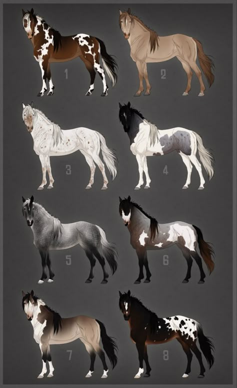 Horse Art Ideas, Horse Animation, Horse Markings, Horse Art Drawing, Horse Coat Colors, Cute Horse Pictures, Horse Sketch, Hobby Horses, Fantasy Horses