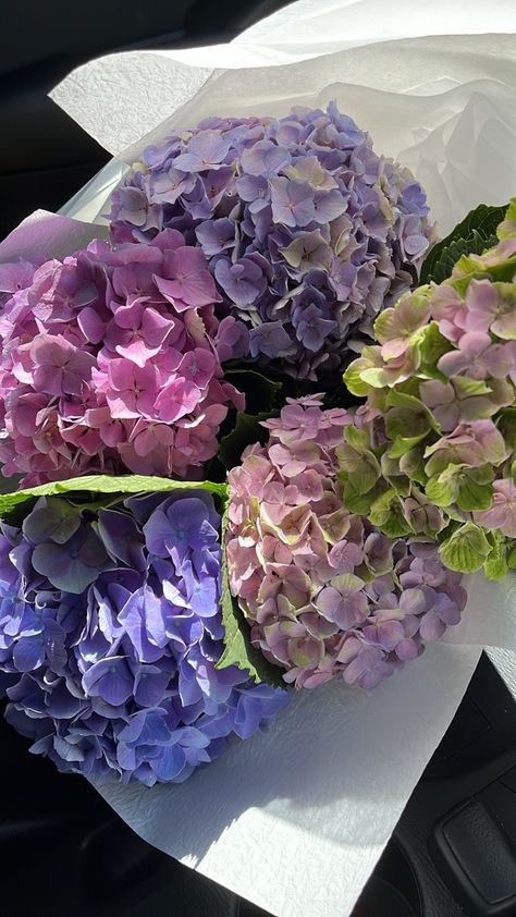 Hydragena Bouquet Aesthetic, Pretty Flowers Bouquet, Hello 22, House Smell Good, Flowers Pretty, Hydrangea Bouquet, Boquette Flowers, Nothing But Flowers, Flower Therapy