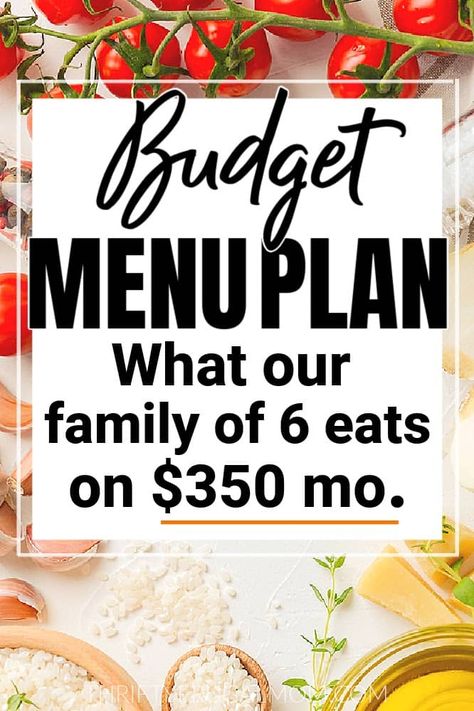 $350 Month Budget Menu Plan for Our Family of 6 (Menu #52) - Thrifty Frugal Mom Thrifty Frugal Mom, Pantry Cooking, Meals For Family, Aldi Shopping, Budget Family Meals, Frugal Mom, Monthly Meal Planning, Budget Meal Planning, Family Of 6