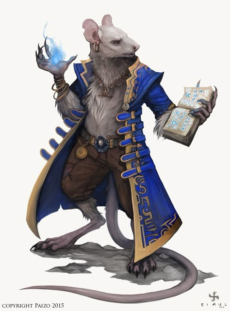 Pathfinder Character, Heroic Fantasy, A Rat, Fantasy Races, Gandalf, Arte Fantasy, Fantasy Rpg, 판타지 아트, Dnd Characters