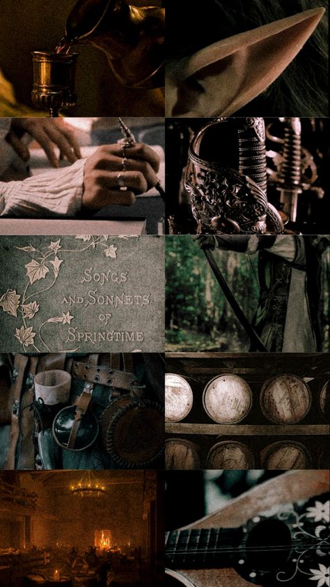 Fantasy Dnd Aesthetic, Fantasy Bard Aesthetic, Winemaker Aesthetic, Dark Dnd Aesthetic, Dark Bard Aesthetic, Basilisk Aesthetic, Ttrpg Aesthetic, Fantasy Healer Aesthetic, Elf Moodboard