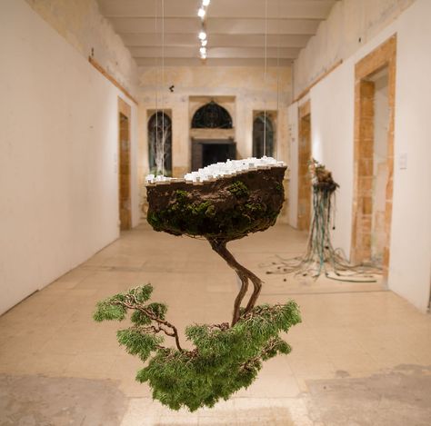 Exhibition By Young Designers Tries To Reinvent An Ancient Artform Japanese Display, Tree Installation, Bonsai Trees, Bonsai Pots, Western Art, Bonsai Tree, Conceptual Art, Ancient Art, Upside Down