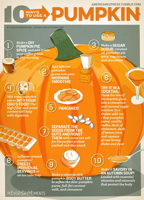 10 Ways To Use Your Pumpkin Hairstyle 2024, Lexi's Clean Kitchen, Leftover Pumpkin, Fall Festivals, Sugar Pumpkin, Harvest Season, Canned Pumpkin, Pumpkin Puree, Sugar And Spice