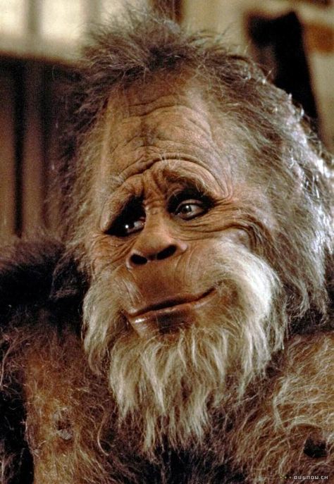 Love the "Doo!" Rick Baker, Harry And The Hendersons, Bigfoot Pictures, Bigfoot Art, Bigfoot Sasquatch, Kid Movies, Funny Bunnies, Halloween Movies, Old Tv