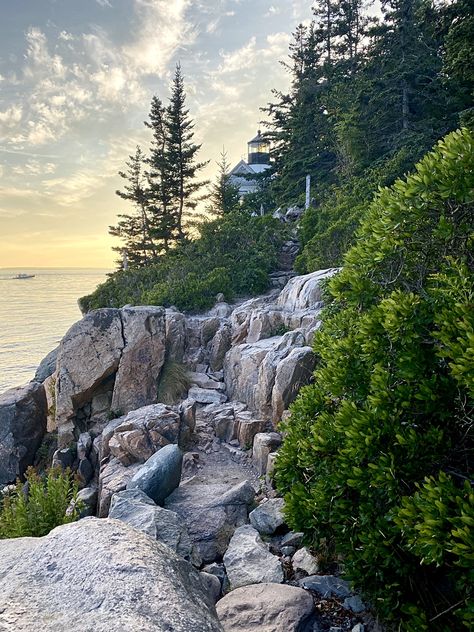 Maine Aesthetic, Maine Coastline, Acadia Maine, Painted Landscapes, Bar Harbor Maine, Mount Desert Island, Dream Future, New England Travel, Maine Coast