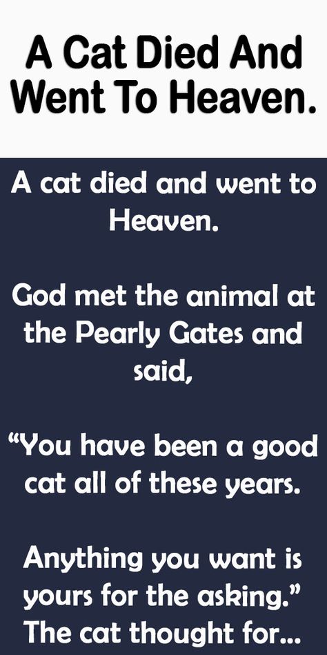 A Cat Died And Went To Heaven. – All Cats Go To Heaven, Cat Heaven Quotes, Cat Poems Funny, Funny Life Quotes Humor Hilarious Animal Pictures, Cat Sympathy Quotes, Beautiful Quilts Inspiration, Cat Died Quote, Cat Quilts Ideas, Cats In Heaven