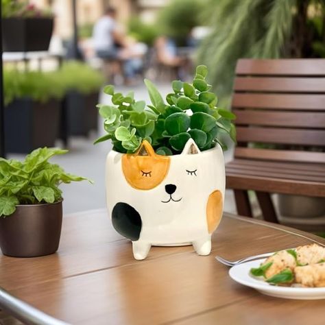 Amazon.com : Cat Planter Pot | Indoor Planter for Plants | Cat Lover Gift | Animal Planter | Succulent Planter | Gardening Lover Gift | Cute Planters & Pots | Pot Holder | Gardening Gifts for Women & Plant Lovers : Patio, Lawn & Garden Planter Gardening, Cat Planter, Contemporary Planters, Gardening Gifts, Ceramic Succulent, Cactus Planter, Animal Planters, Decorated Flower Pots, Indoor Planter