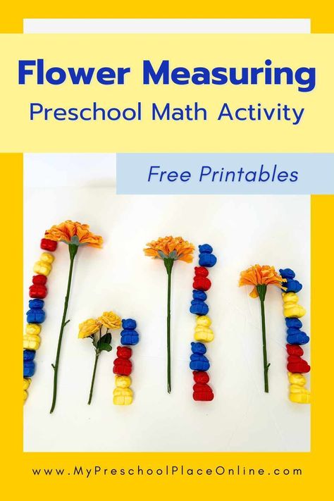 Explore math in bloom with our flower measuring activity for preschoolers! This interactive flower activity encourages hands-on learning as children measure and compare the sizes of colorful flowers. With our free flower printable, your little one can practice measuring and counting skills while enjoying the wonders of spring any time. Try this engaging preschool activity today and watch your child get excited about math! Measurement Activities Preschool, Spring Math Preschool, Flowers Preschool, Seeds Preschool, Flower Activity, Flower Math, Homeschool Preschool Schedule, Spring Preschool Activities, Online Preschool