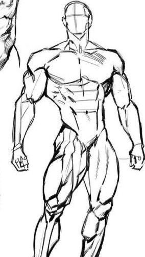 Muscle Drawing Reference, Muscle Drawing, Anatomy Guide, Artistic Anatomy, Male Art Reference, American Traditional Tattoo Ideas, Traditional Tattoo Ideas, Human Body Drawing, Man Figure