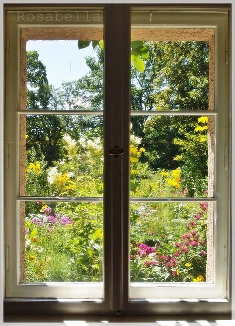 An Open Window, Cottage Windows, Looking Out The Window, Beautiful Windows, Window View, Window Art, Open Window, Through The Window, Garden Cottage