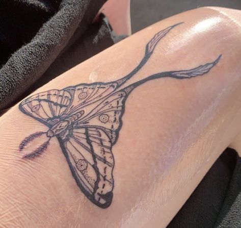 Comet Moth Tattoo Design, Basic Moth Tattoo, Comet Moth Tattoo, Masculine Moth Tattoo, Moth Tattoo Dotwork, Moth Tattoo Grunge, Comet Moth, Moth Tattoo, Fish Tattoos