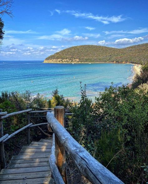 Visit Tuscany on Instagram: “Cala Violina is one of the most beautiful beaches in the Maremma, that can be reached on foot or by bicycle. Do you know the origin of its…” Tuscany Beaches, Italy Beaches, Most Beautiful Beaches, Beautiful Beaches, Tuscany, Most Beautiful, Bicycle, Italy, Canning