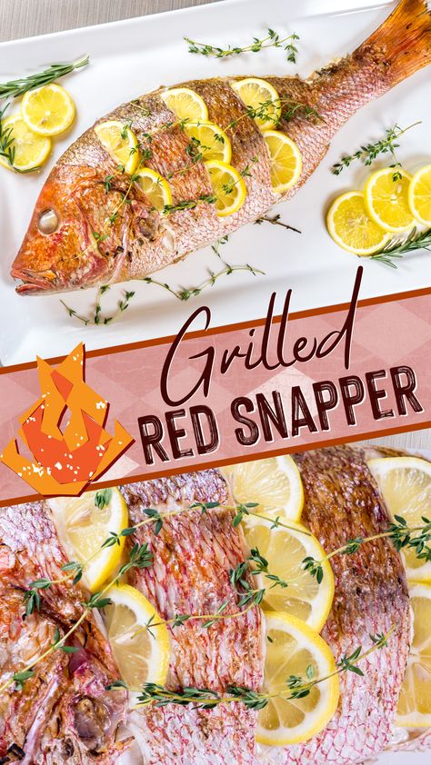 Whole Snapper Recipes, Whole Red Snapper Recipes, Whole Red Snapper, Red Snapper Recipe, Red Snapper Fish, Grilled Red Snapper, Red Snapper Recipes, Whole Fish Recipes, Snapper Recipes