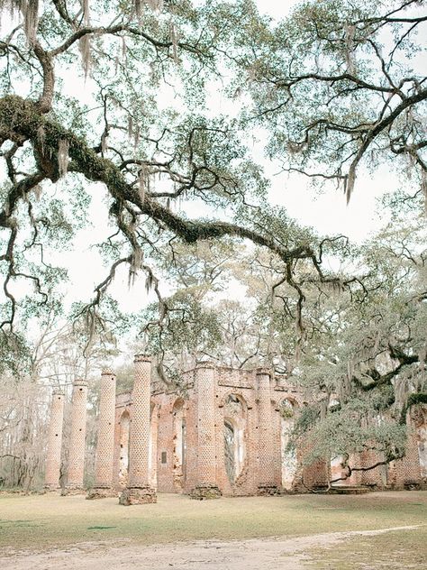 beaufort-weddings-old-sheldon-church-ruins-11 South Carolina Travel, Charleston Travel, Lowcountry Wedding, My First Love, Beaufort Sc, Wedding Venues Texas, Country Church, Spanish Moss, Hilton Head Island