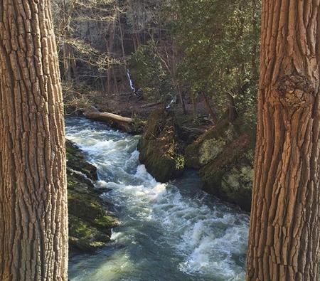 John Bryan State Park/ Clifton Gorge State Park, Places Ive Been, State Parks, Ohio, Places To Visit, Water