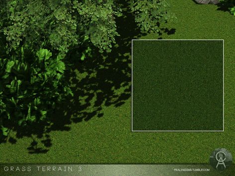 Pralinesims' Grass Terrain 3 Sims 4 Grass Terrain, Grass Cc Sims 4, Sims 4 Grass Override, Ts4 Terrain Cc, Sims 4 Grass Floor Cc, Sims 4 Grass Wall Cc, Sims 4 Terrain Cc, Sims 4 Cc Garden Plants, Sims 4 Landscaping Cc