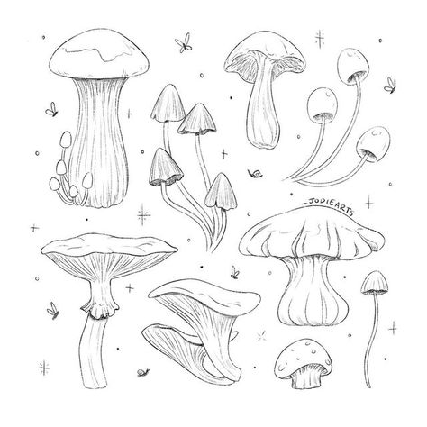 Pen Mushroom Drawing, Mushroom Drawing Ideas Easy, Botanical Sketches Simple, Mushroom Drawing Reference, Mushroom Sketch Doodles, Mushroom Drawing Doodles, Creepy Mushroom Drawing, Sketchbook Mushroom, Mushroom Bujo