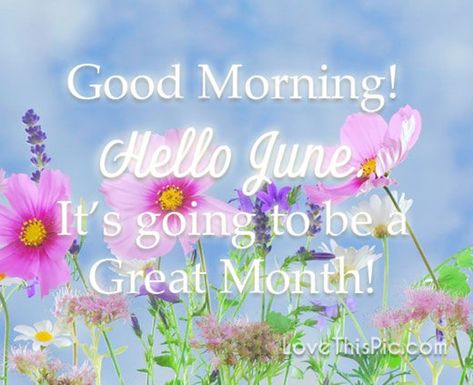 Hello June Good Morning, Hello June Quotes, June Images, Beautiful Good Morning Quotes, June Quotes, June Month, New Month Quotes, Happy Birthday To Me Quotes, Month Pictures